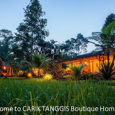 Carik Tangis Boutique Homestay Jatiluwih Exterior foto