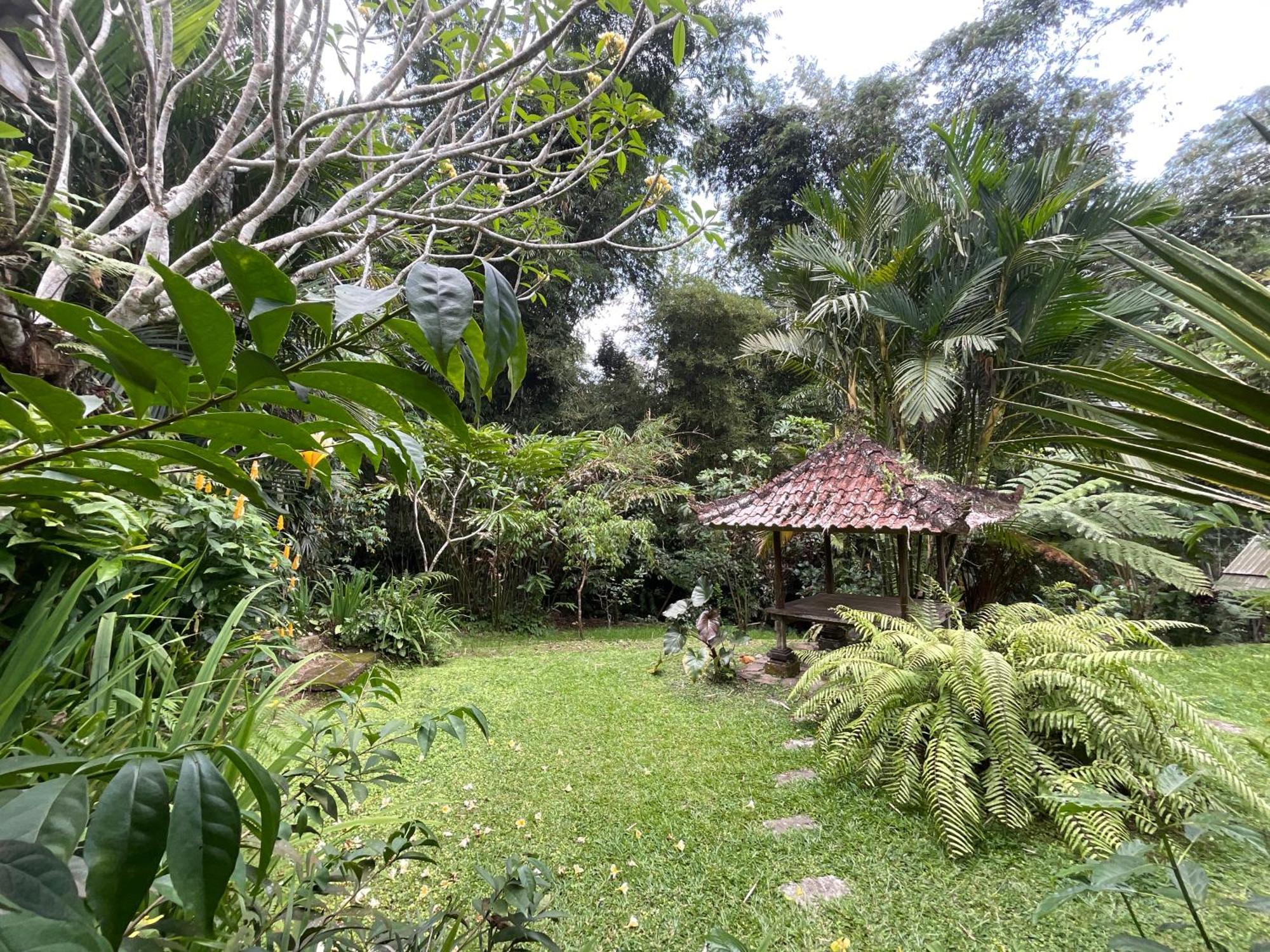 Carik Tangis Boutique Homestay Jatiluwih Exterior foto