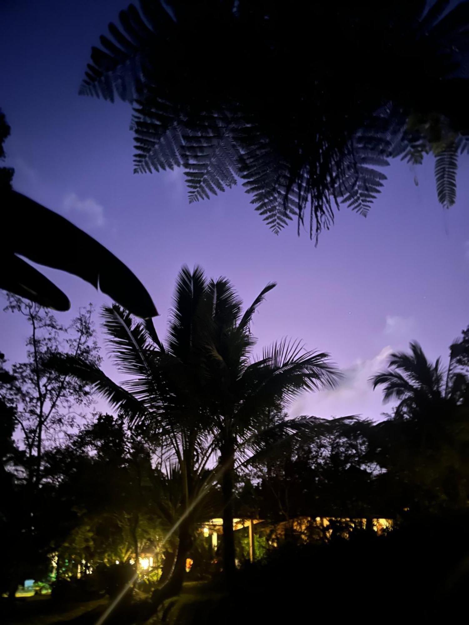 Carik Tangis Boutique Homestay Jatiluwih Exterior foto