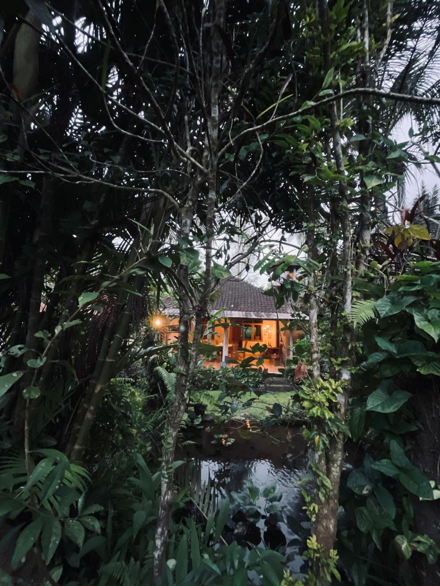 Carik Tangis Boutique Homestay Jatiluwih Exterior foto
